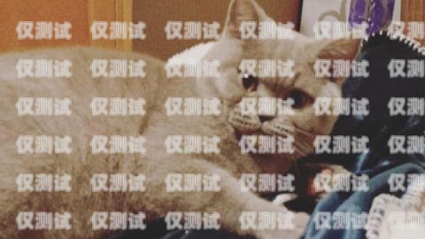 藍貓電銷卡可靠嗎？知乎上的真實評價與解答藍貓電銷卡可靠嗎知乎