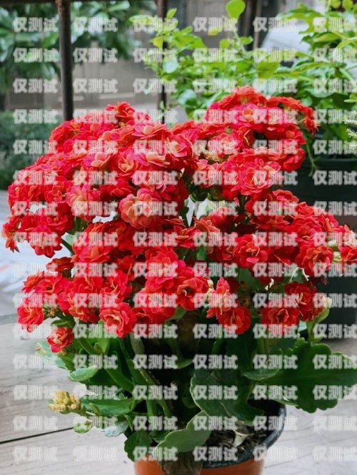 電銷卡不能開網(wǎng)嗎？電銷卡能上網(wǎng)嗎