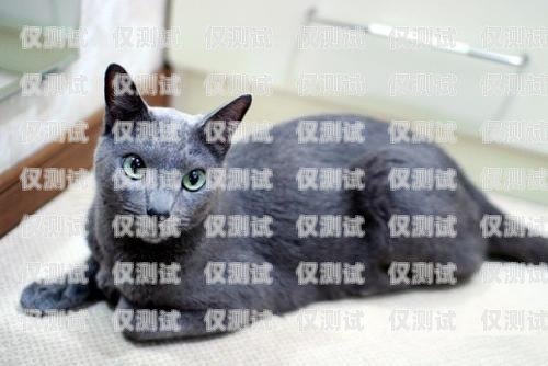 藍貓電銷卡激活要錢嗎？多少錢？藍貓電銷卡激活要錢嗎多少錢一張